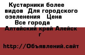 Кустарники более 100 видов. Для городского озеленения › Цена ­ 70 - Все города  »    . Алтайский край,Алейск г.